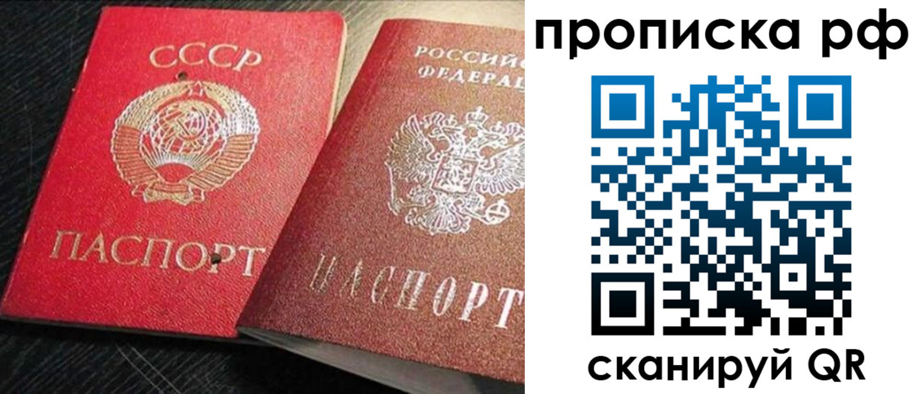 где прописаться в Светлогорске